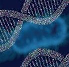 Bacterial Genetics and Genomics, by Lori A. S. Snyder