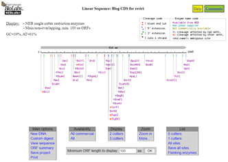 Screenshot of the NEBCutter output for the gene of interest, showing a graphical representation of the locations of restriction enzyme cut sites along the length of the sequence. There are links for other options at the bottom of the page.