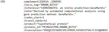 Screenshot of a portion of a GenBank format annotation of sequence for a CDS designated as a hypothetical protein.