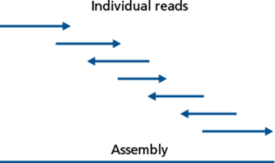 Figure illustrating the assembly of individual sequencing reads generated by sequencing technologies into an assembled contig, ready for analysis. Figure 17.2 of Bacterial Genetics and Genomics (https://www.routledge.com/Bacterial-Genetics-and-Genomics/Snyder/p/book/9780815345695), Chapter 17: Genome Analysis Techniques.